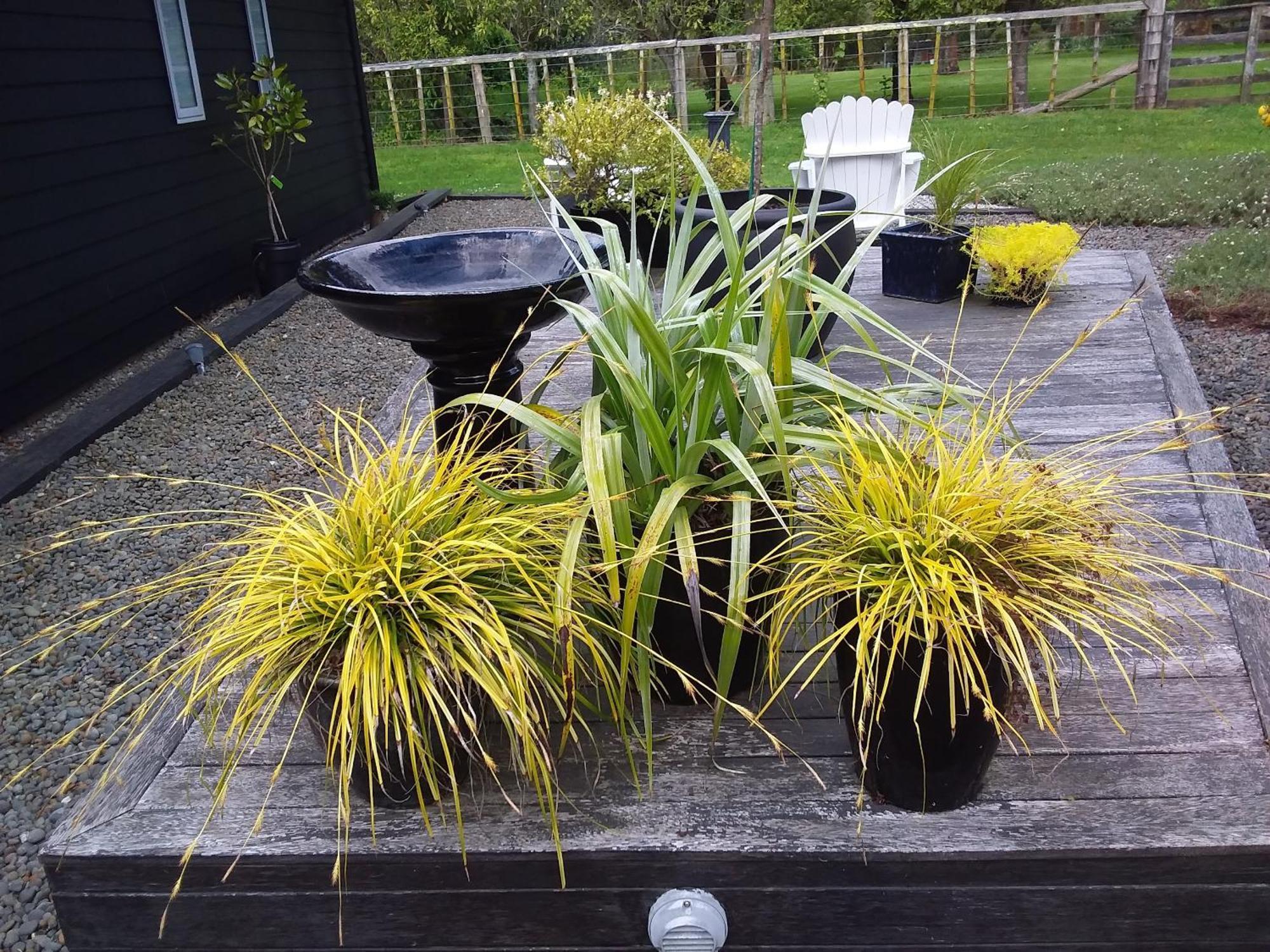 Karapiro Willows Luxury B & B Cambridge Esterno foto