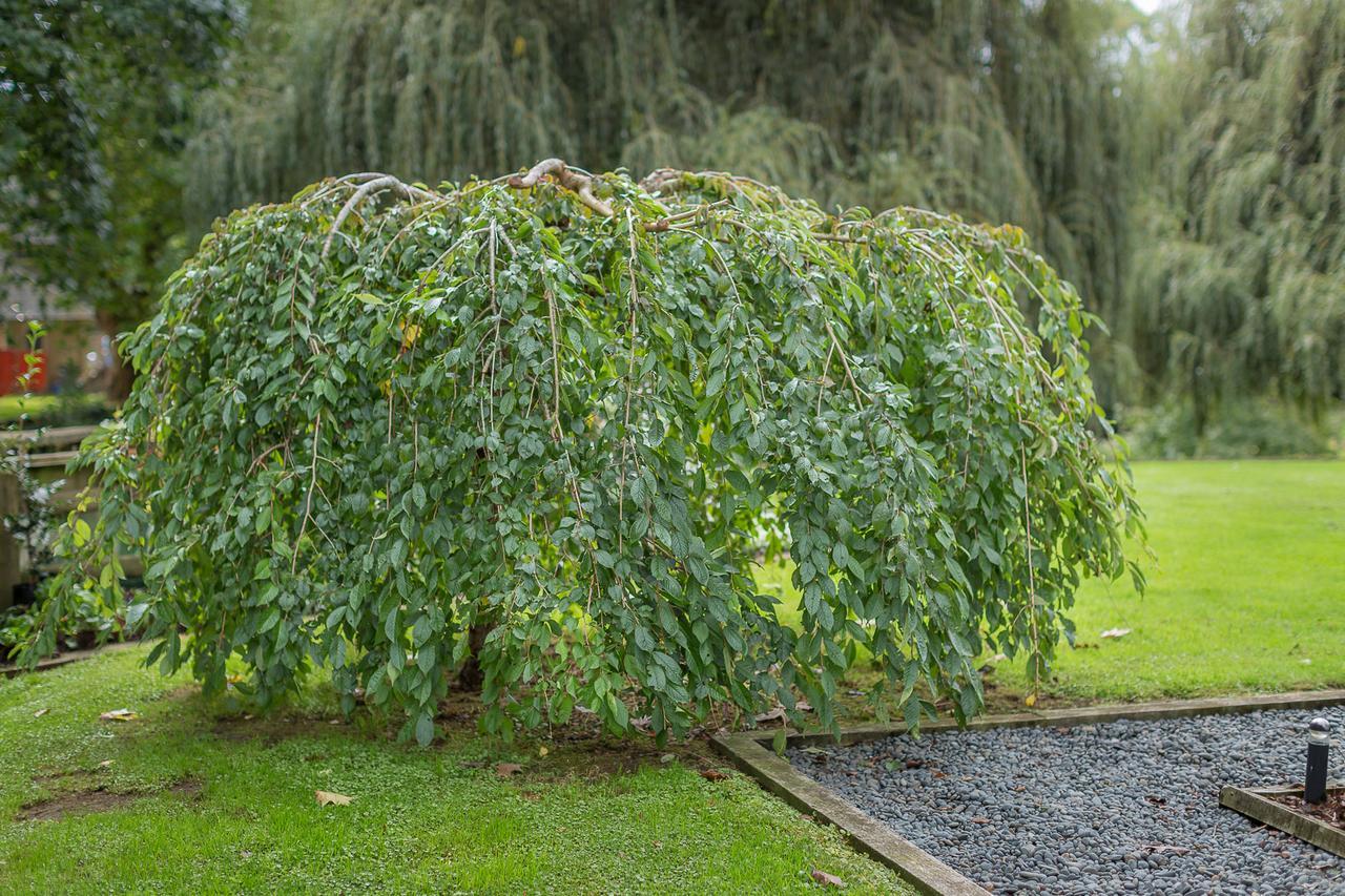 Karapiro Willows Luxury B & B Cambridge Esterno foto