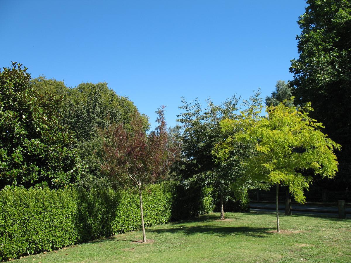 Karapiro Willows Luxury B & B Cambridge Esterno foto